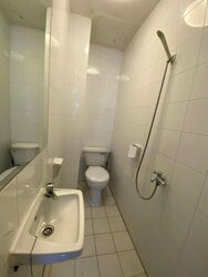 Royal Palm Mansions (D5), Condominium #574345411